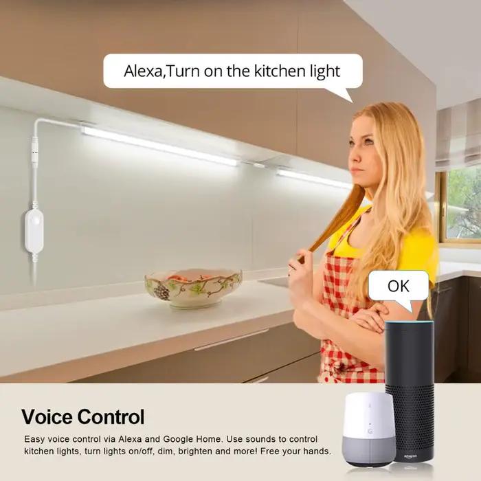 Contrôleur LED 12V Tuya WIFI Google Home Alexa commande vocale adapté à une bande lumineuse LED coul