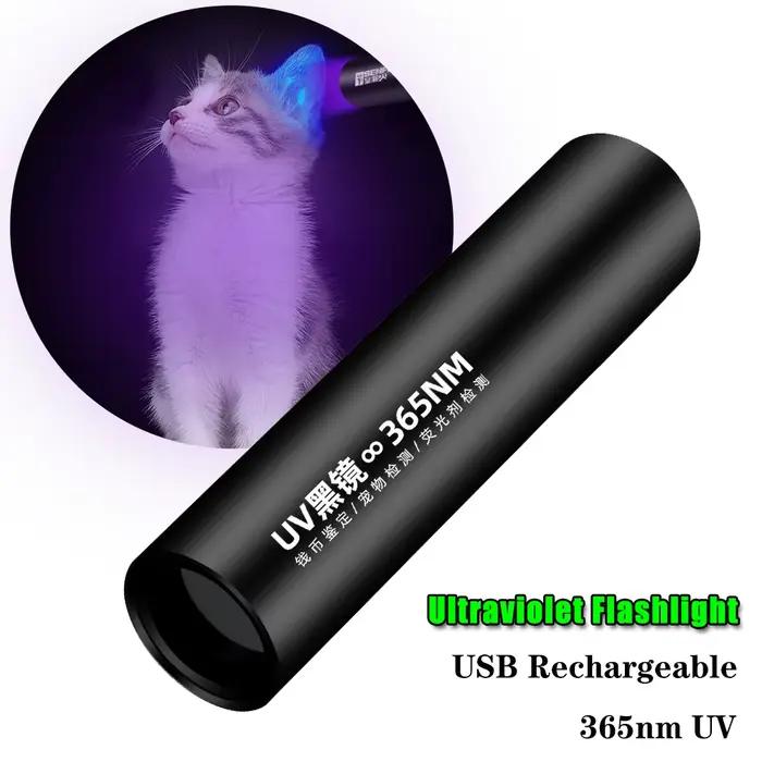 Lampe de poche ultraviolette Rechargeable par USB 365nm, lampe de détection de champignons en mousse