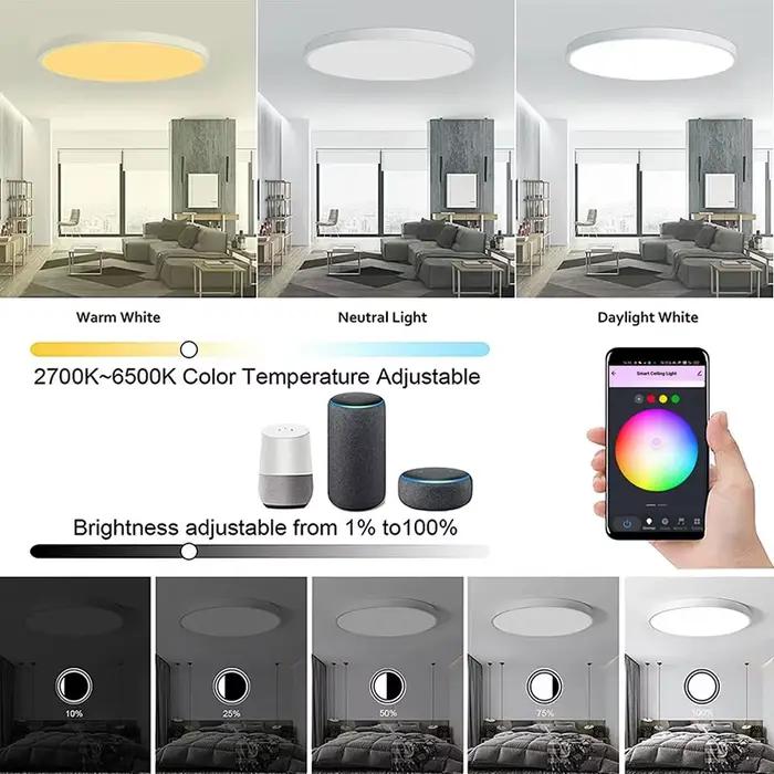 Tuya WiFi plafonnier intelligent RGBCW Led plafonniers lustre 24W 220V chambre salon décoration avec