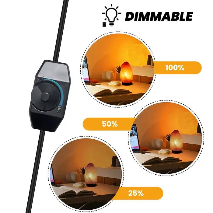 Base de lampe 1.8m, support E14, câble d'alimentation avec ampoule led T20, cordon de variateur de p