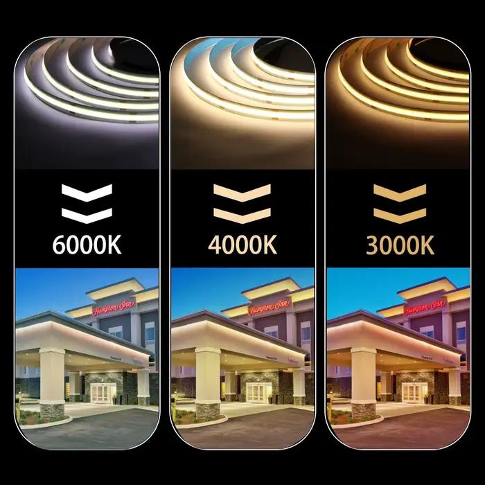 Bande Lumineuse LED COB Flexible FCOB 384/480/528 gible/m, Lumière Froide/Naturelle/Blanche Chaude L