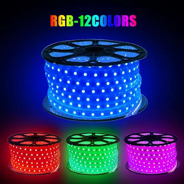 220V 5050 RGB LED bande haute luminosité Flexible lumière LED bande étanche IP67 LED bande extérieure décor à la maison lumière avec télécommande