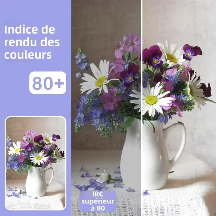 Lot de 1 à 10 spots LED encastrables 120V 220V avec interrupteur rotatif