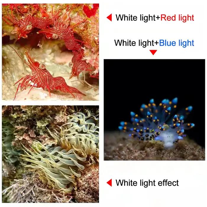 Lampe de poche de plongée professionnelle LED 18000LM COB torche tactique IPX8 étanche éblouissante caméra vidéo lumière blanc bleu rouge lumière de remplissage