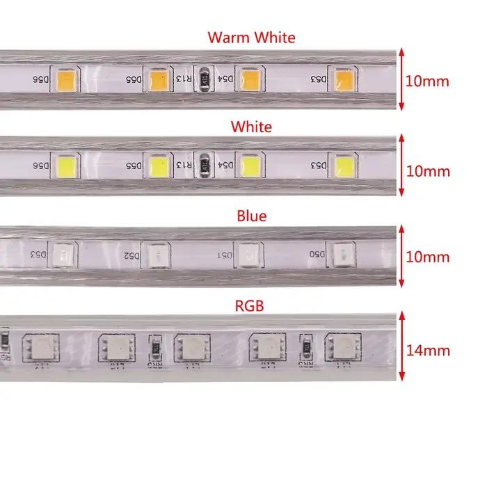 220V 5050 RGB LED bande haute luminosité Flexible lumière LED bande étanche IP67 LED bande extérieure décor à la maison lumière avec télécommande