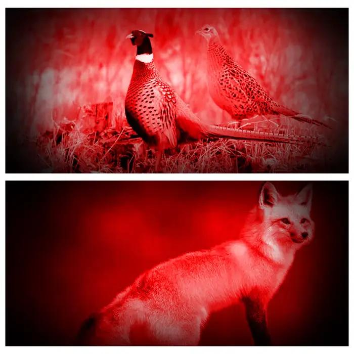 Lampe frontale de chasse rouge + blanc double lumière Rechargeable mise au point fixe étanche 4 Modes phare chasse Camping randonnée lampe de travail