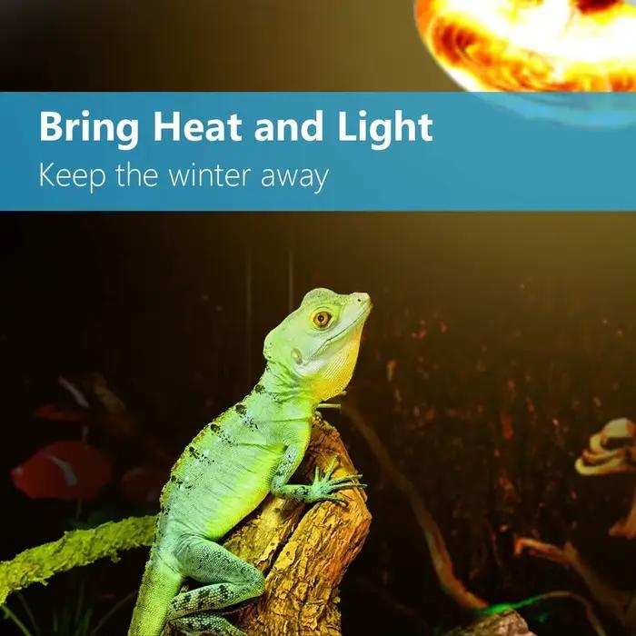 Ampoule de lampe chauffante Uvb Uva pour reptile, véritable chaleur brillante semblable au soleil pour amphibiens et oiseaux, 10