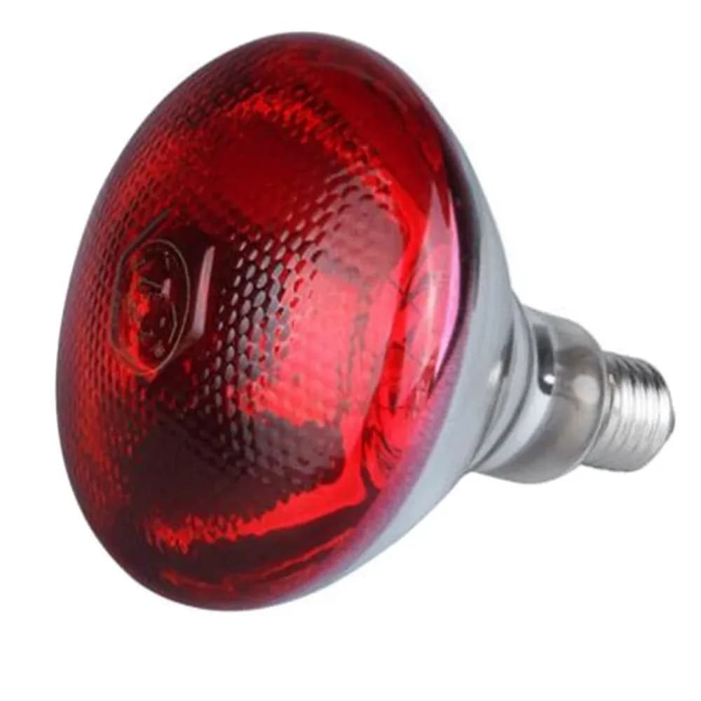 Lampe chauffante infrarouge 220V 275W pour l'élevage de volailles, reptiles, plantes et amphibiens