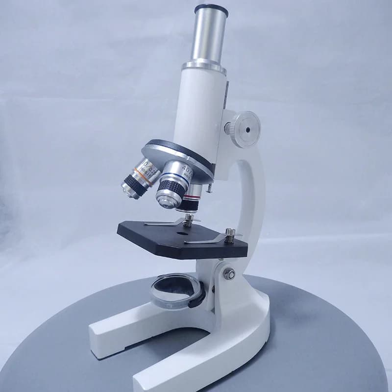 Microscope portable Seattle pour la science populaire fuchsia dans la biologie des enfants majeure