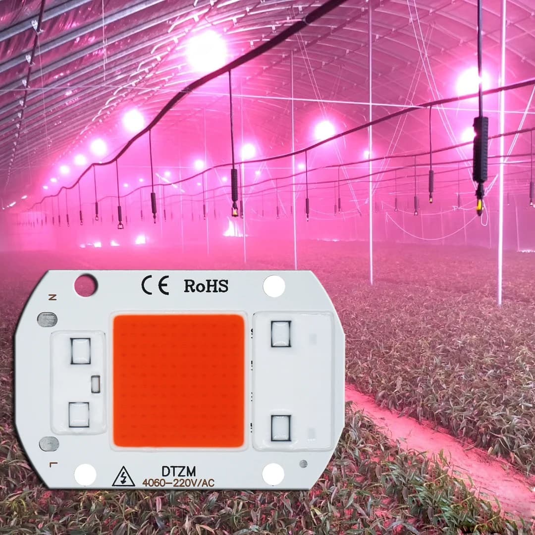 Puce LED COB pour culture, spectre complet, AC220V 5W 10W 20W 30W 50W, sans besoin de driver, pour l