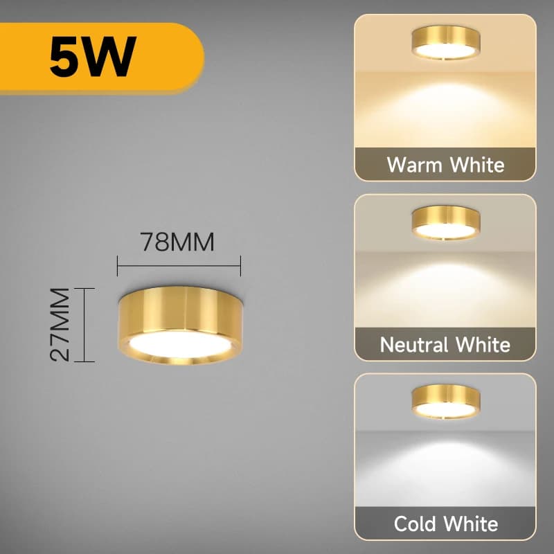 Grain de bois or LED Downlight 3 couleurs plafonnier Spot lumière LED Ultra mince panneau lampe pour