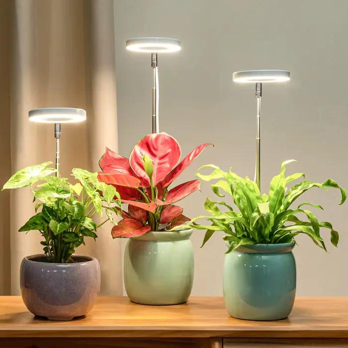 Lampe de culture LED à spectre complet pour plantes solaires d'intérieur, avec hauteur réglable, minuterie 3/9/12H, gradation à 10 niveaux pour jardin