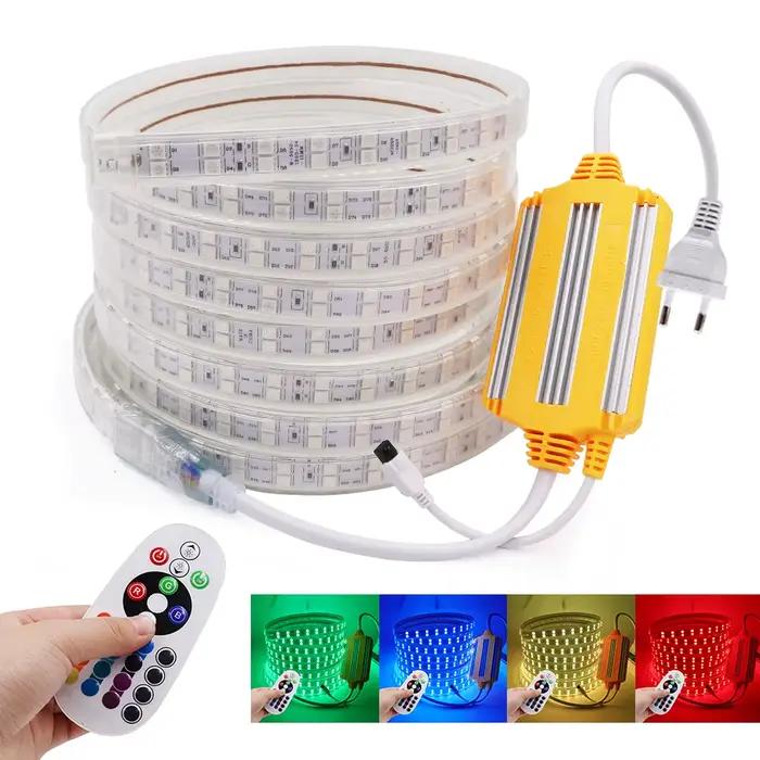 Bande lumineuse Flexible à 60/220 LED avec télécommande, rvb, 120 V, étanche, ruban extérieur, IP65, pour décoration de la maison