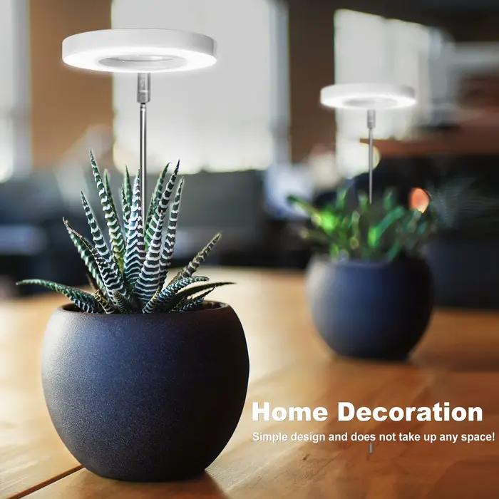 Lampe de culture LED à spectre complet pour plantes solaires d'intérieur, avec hauteur réglable, minuterie 3/9/12H, gradation à 10 niveaux pour jardin