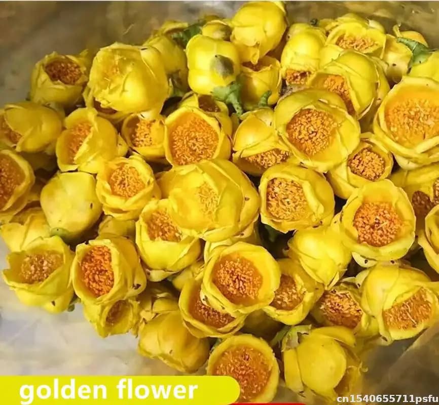 Fleurs dorées sèches naturelles-pour la décoration de la maison, l'artisanat de bricolage, la fabric