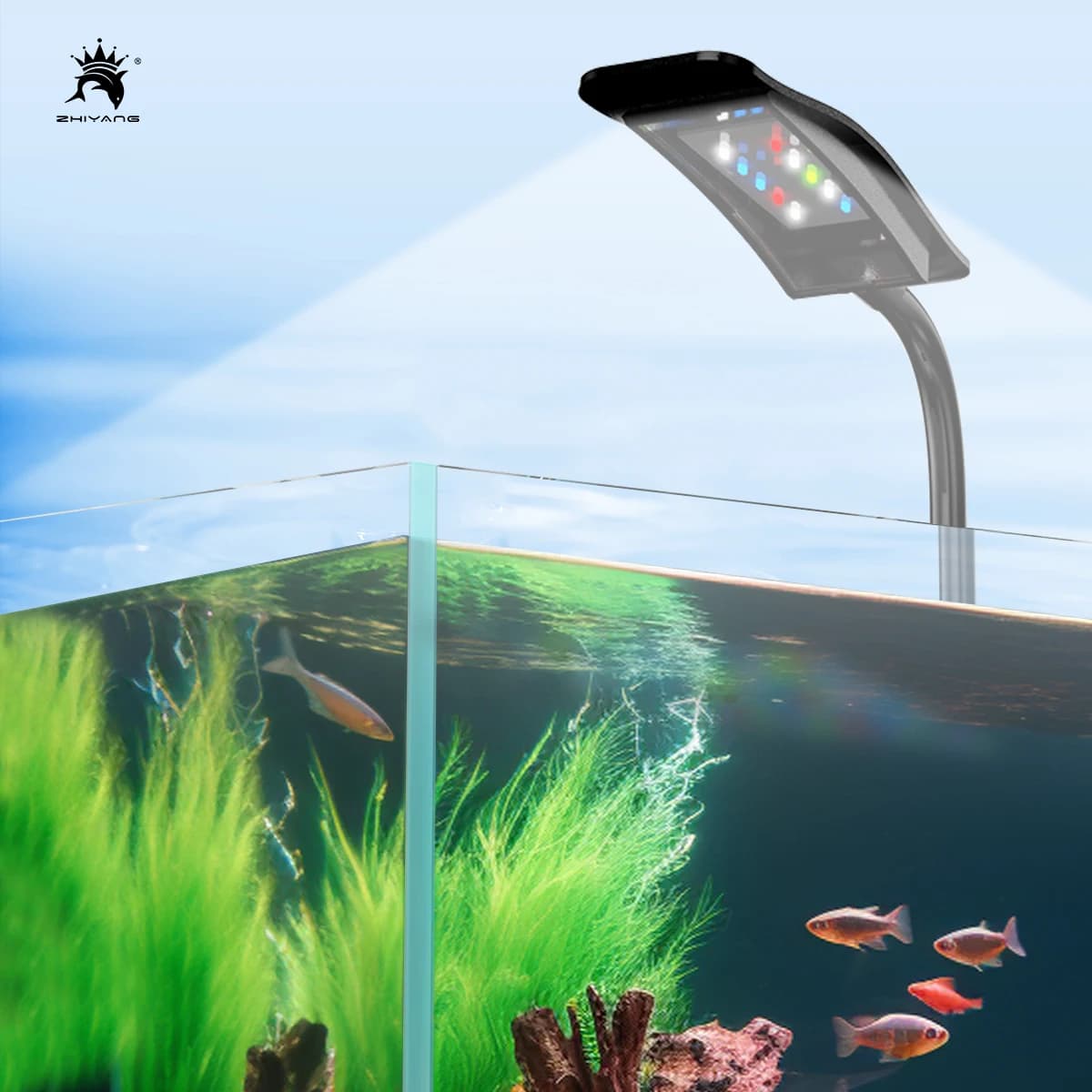 Mini lampe à clip pour aquarium, lampe de remplissage pour plante aquatique, lumière perpétuelle, éc
